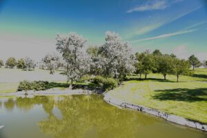 Nikon D810 -3 EV sRAW Recovery