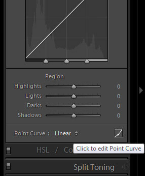B&W With Lightroom_Edit Point Curve