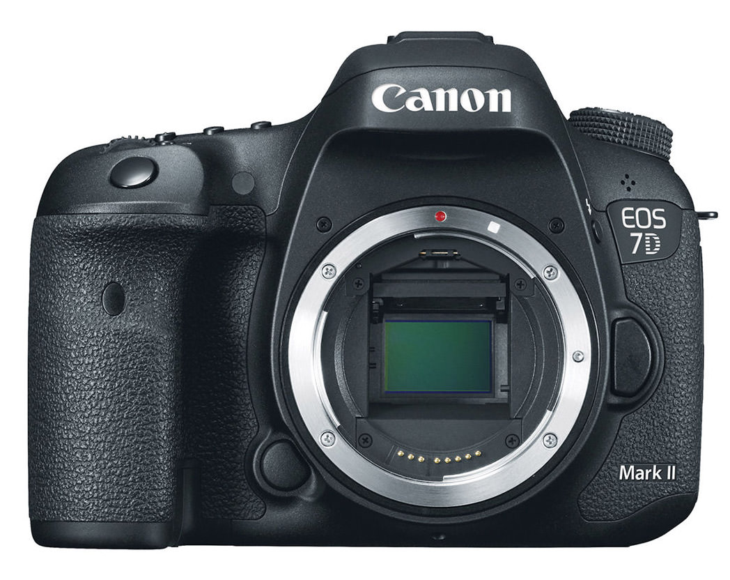 Cirugía espina contraste Canon EOS 7D Mark II Review
