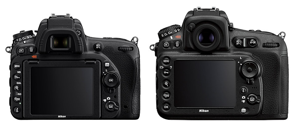 Nikon D750 vs D810 Back