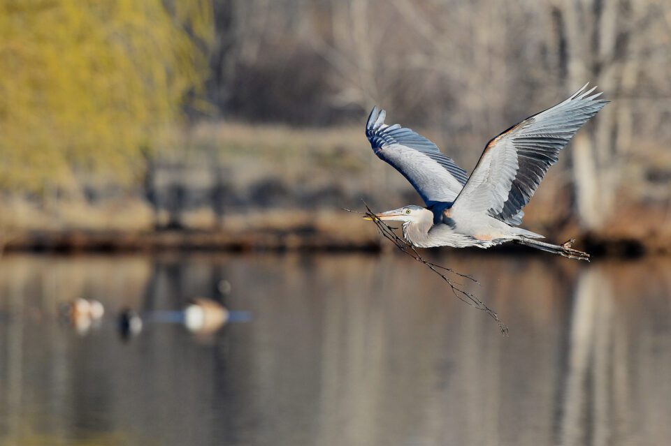 Nikon D4s Image Sample (41)