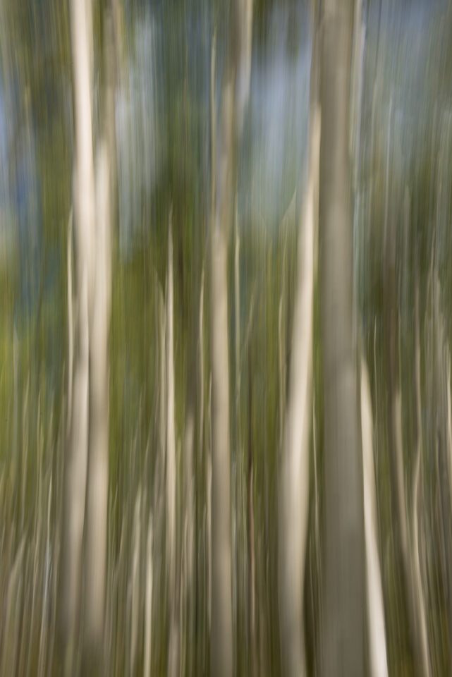 Nikon D750 Sample Image (29)