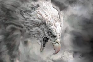 Painted Photo of Angry Bald Eagle