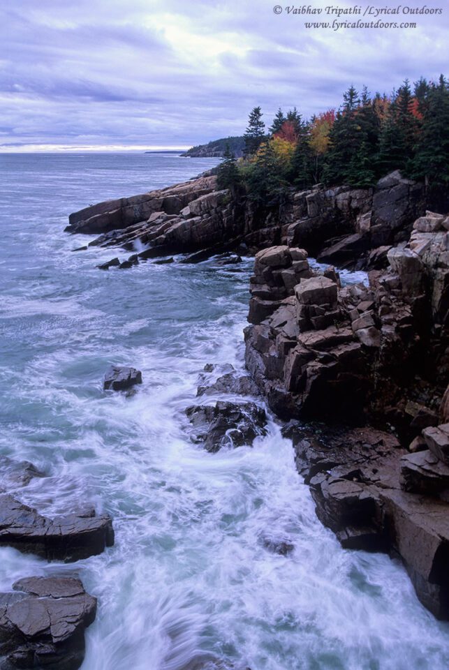Acadia National Park (10)