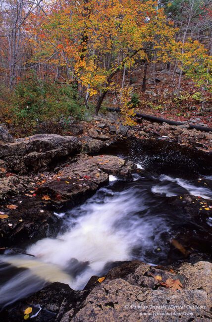 Autumn Magic in Acadia National Park