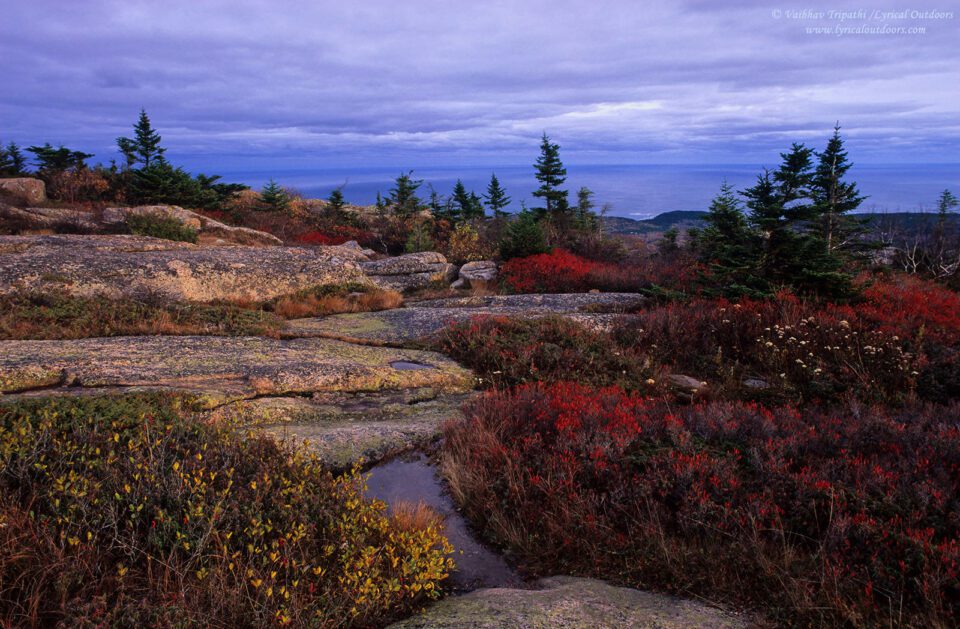Acadia National Park (18)