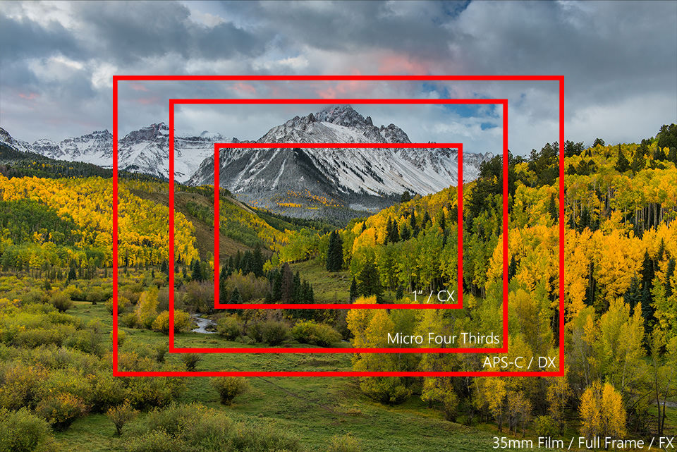 Full-Frame vs APS-C vs M43 vs CX