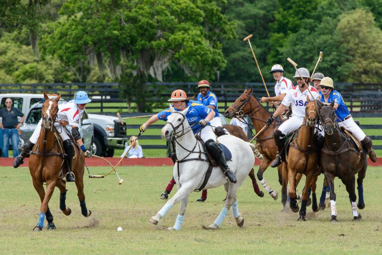 Photographing Horse Polo
