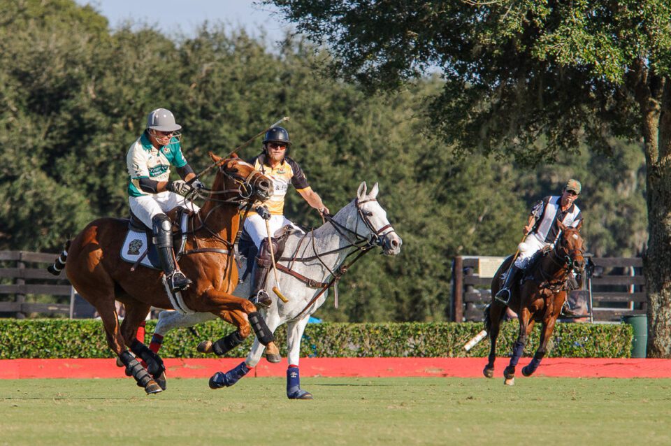 Photographing Horse Polo