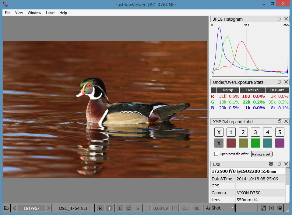 fastrawviewer workflow