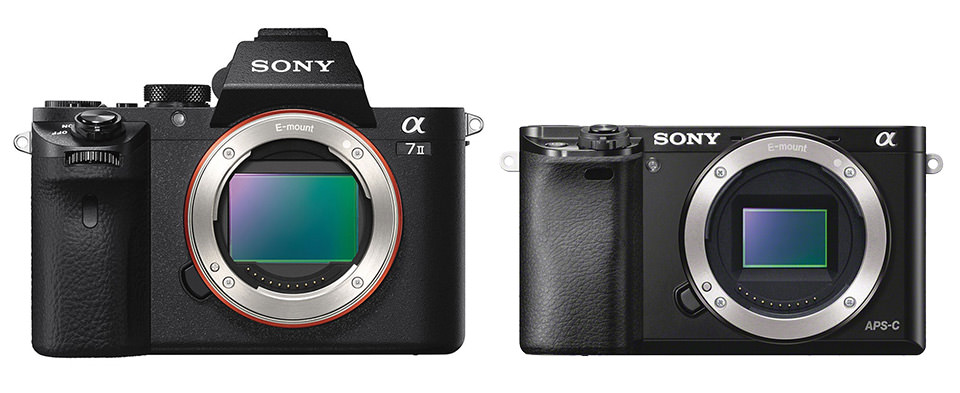 Sony A7 II vs Sony A6000 Sensor Size Comparison