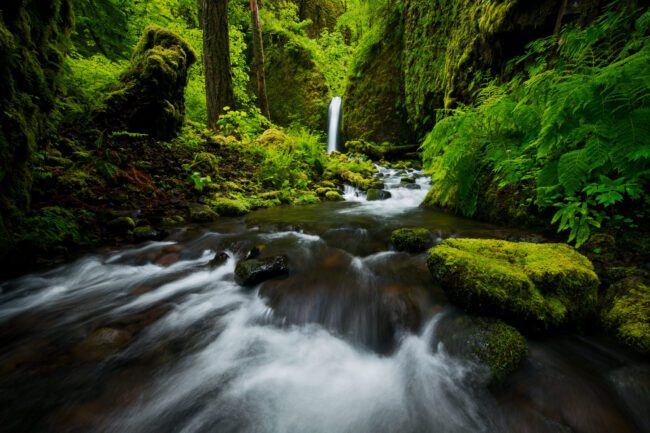 Waterfall Photography Tips