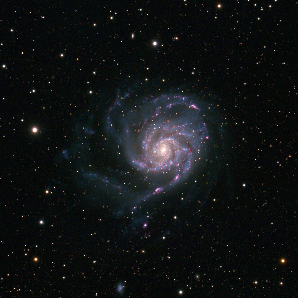 M101