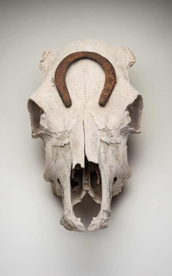 Verm-skull-horseshoe-soft-n-nat-2758
