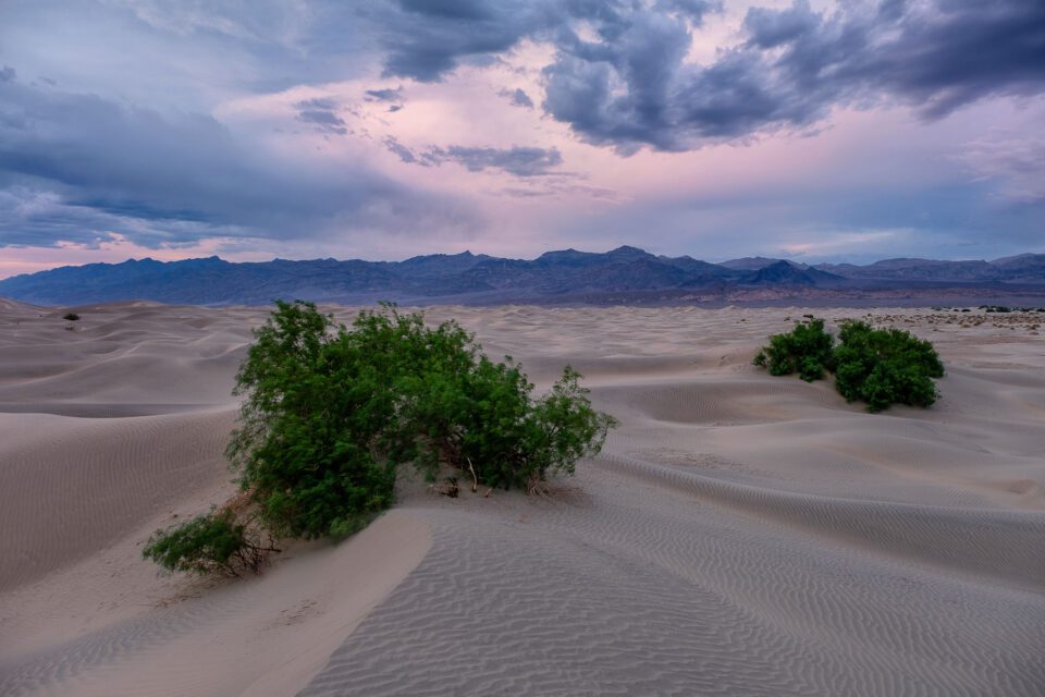 Mesquite Sand Dunes, captured with XF 16-55mm f/2.8 R LM WR