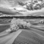 Death Valley Infrared (3)