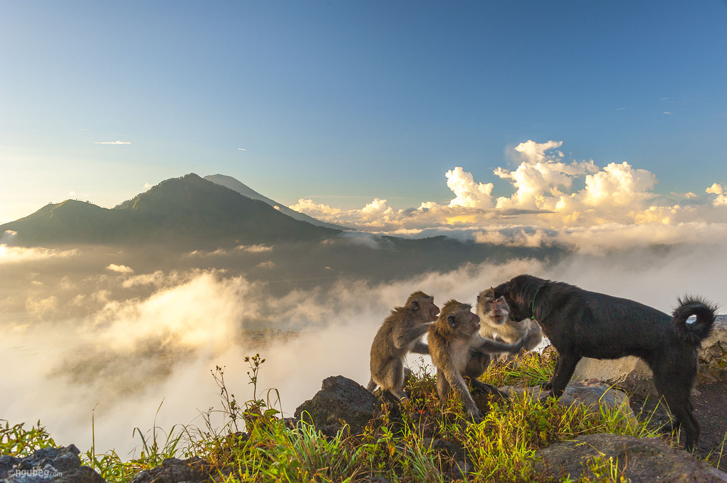 Mount Batur 