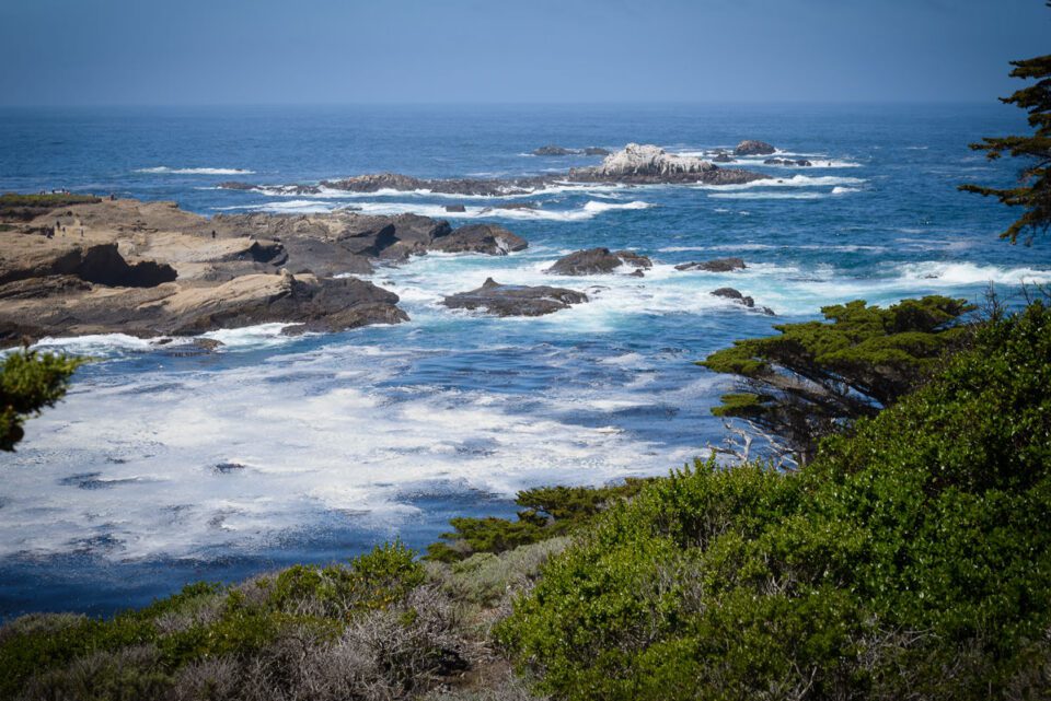 Point Lobos State Reserve #7