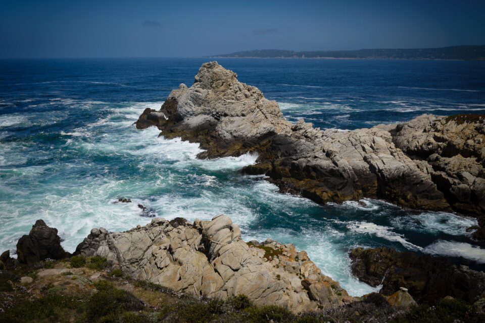 Point Lobos State Reserve #4