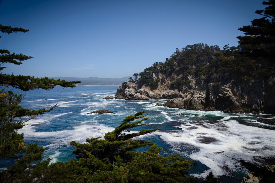 Point Lobos State Reserve #3
