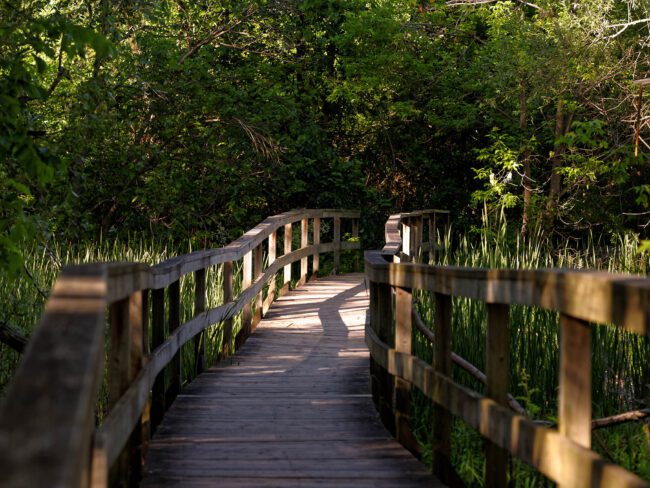 Toogood Pond Park - Best Photo Spots