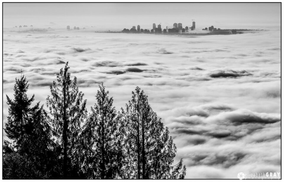 Cypress Mtn Viewpoint #3
