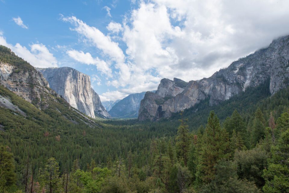 Yosemite Valley #4