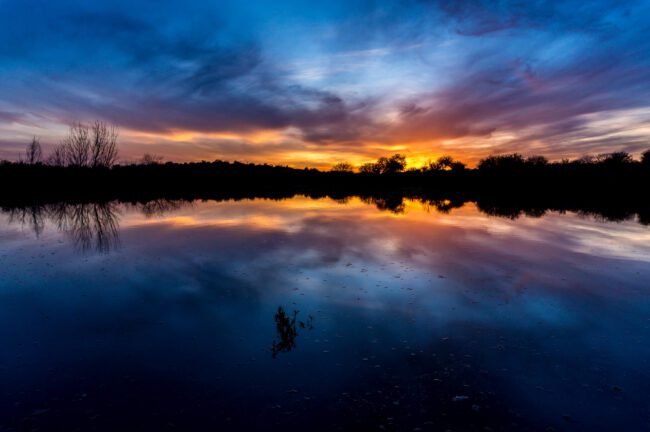 Veterans Oasis Park - Best Photo Spots