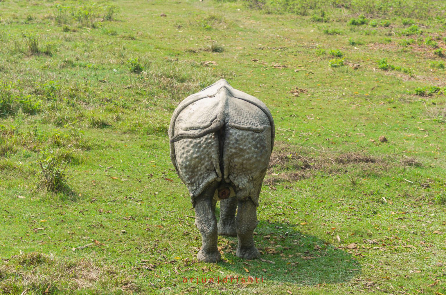 Facts About Chitwan National Park