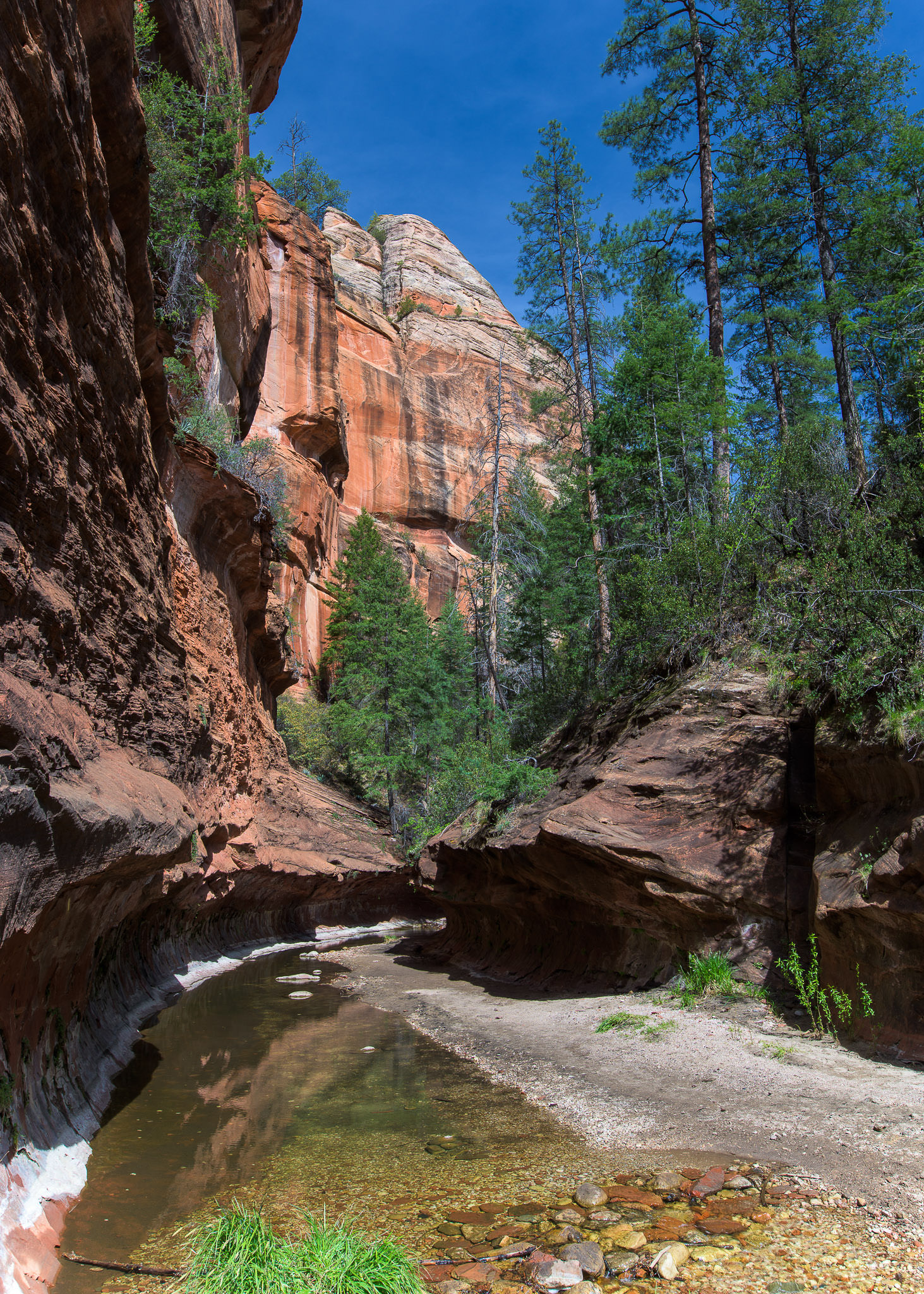 Oak Creek Canyon Best Photo Spots 9013