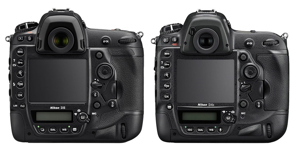 Nikon D5 vs D4s Back