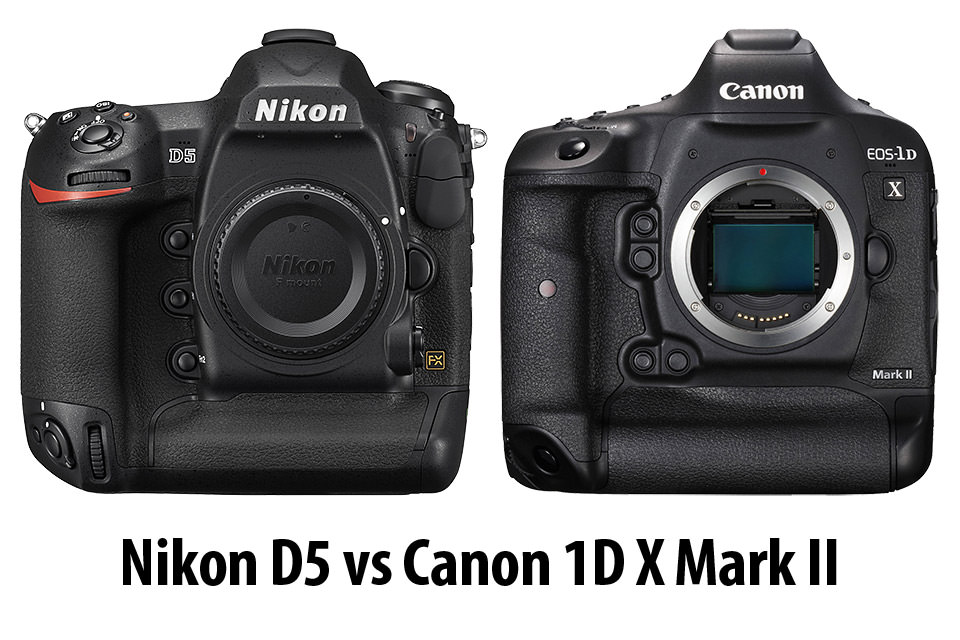 Nikon D5 vs Canon 1D X Mark II
