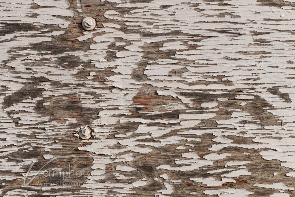 Verm-weathered-wood-7282