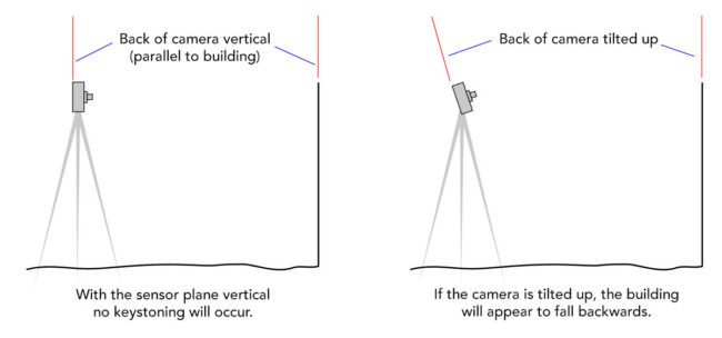 Four Simple Tips for Better Composition