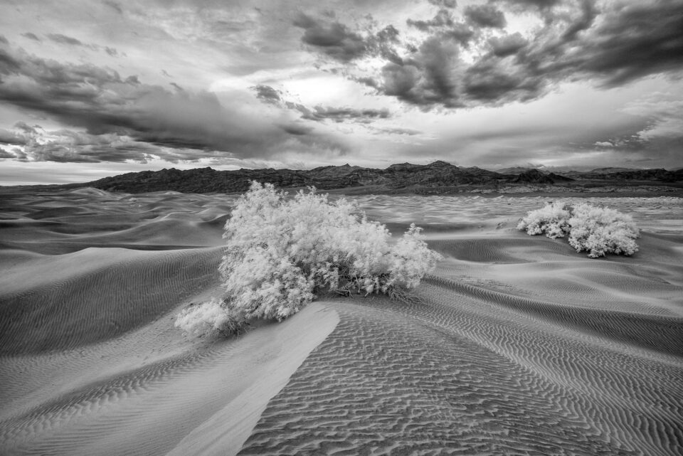 Death Valley in Black and White
