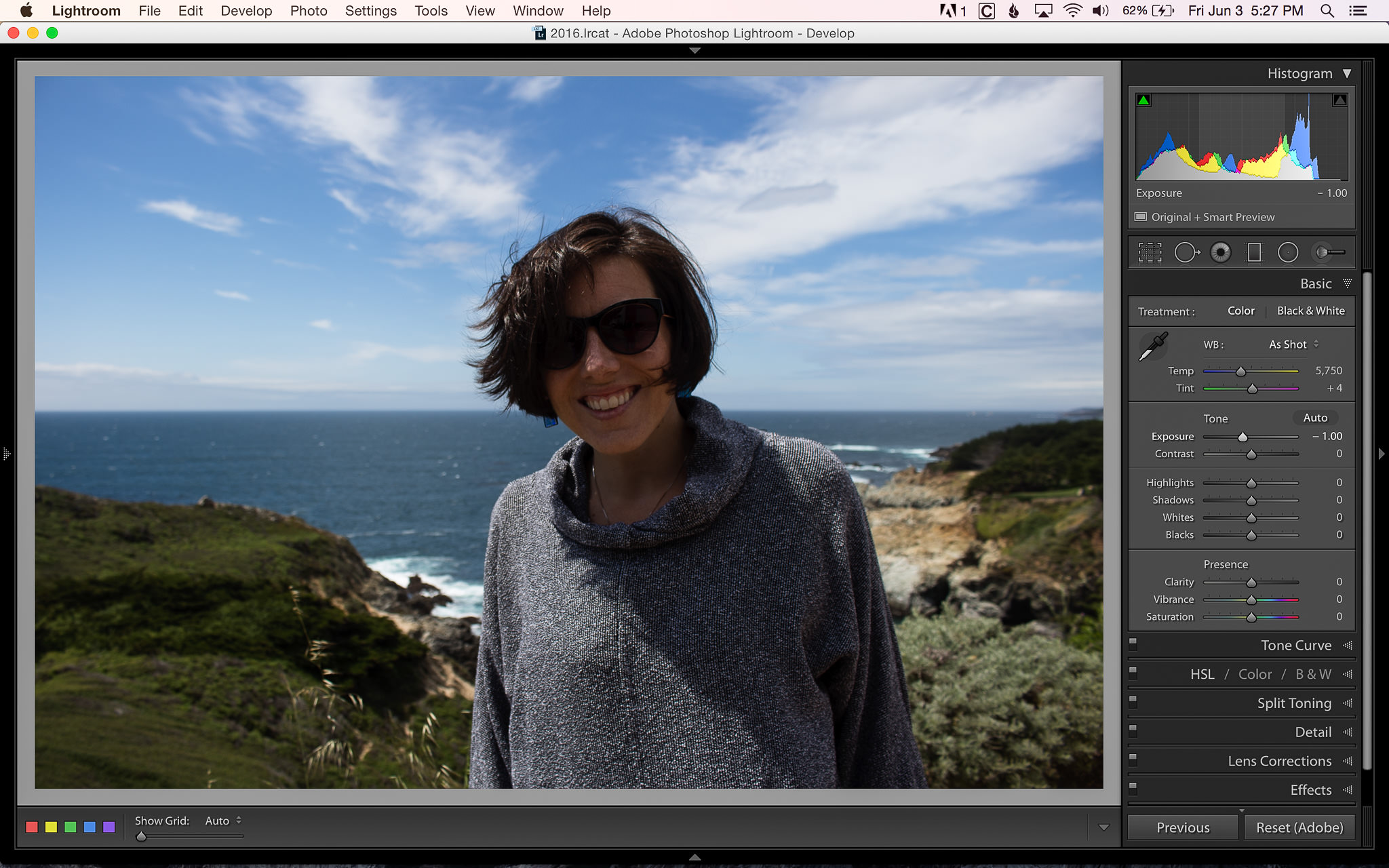 Big Sur - inverted screen after calibration with i1: Mac Talk Forum:  Digital Photography Review