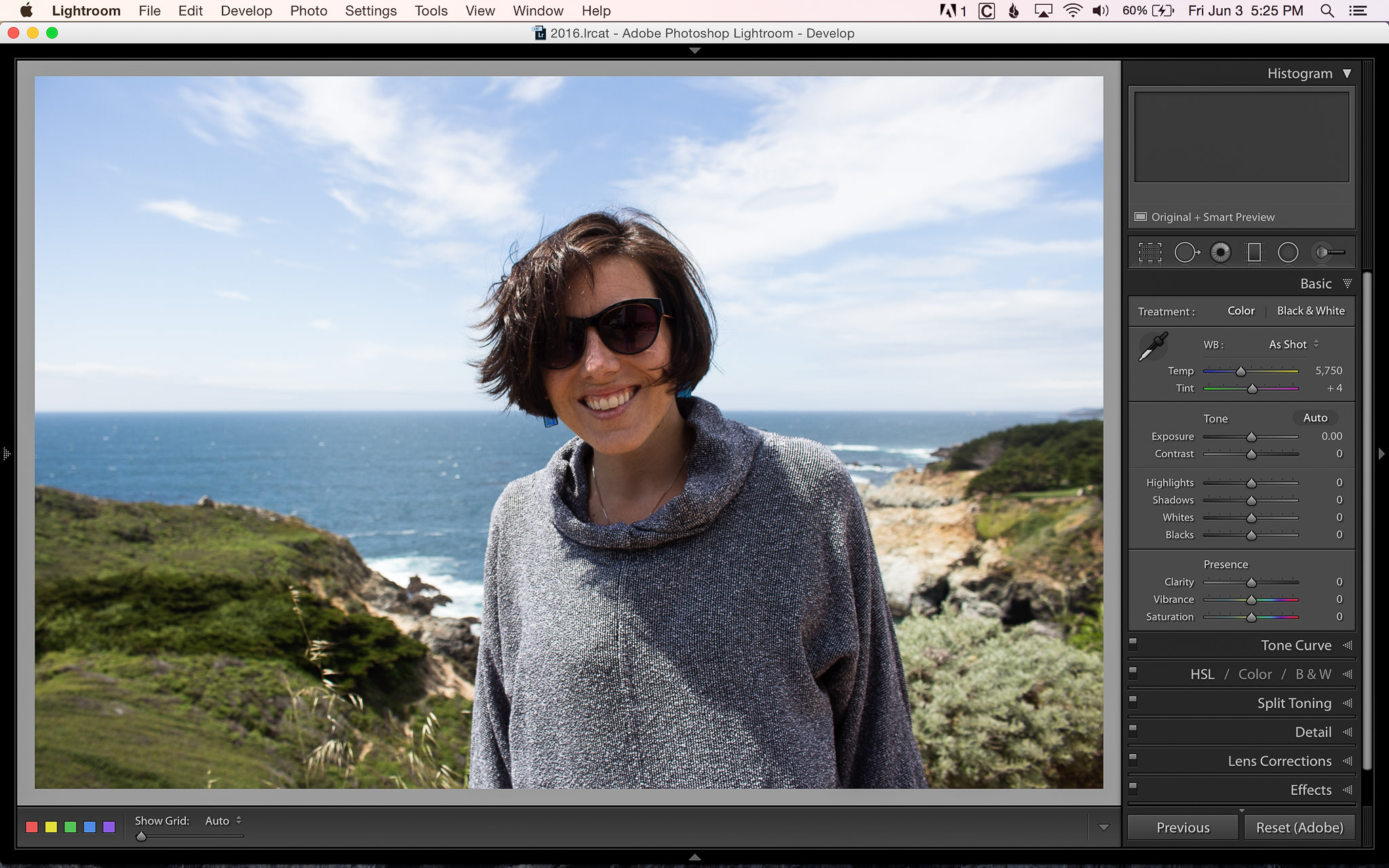 Big Sur - inverted screen after calibration with i1: Mac Talk Forum:  Digital Photography Review