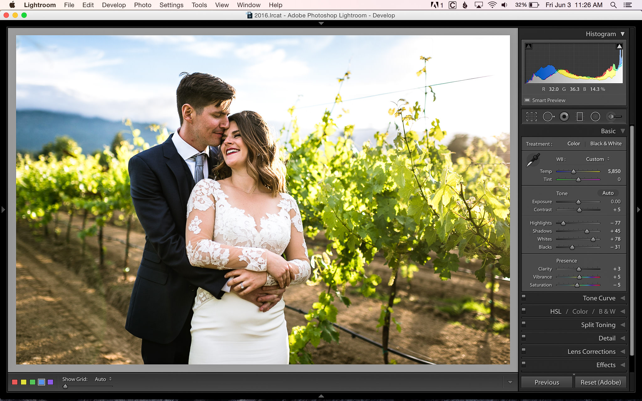 Big Sur - inverted screen after calibration with i1: Mac Talk Forum:  Digital Photography Review
