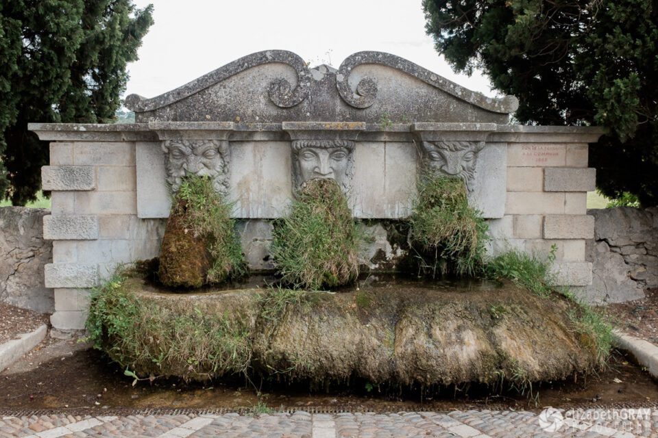 Overgrown Fountain
