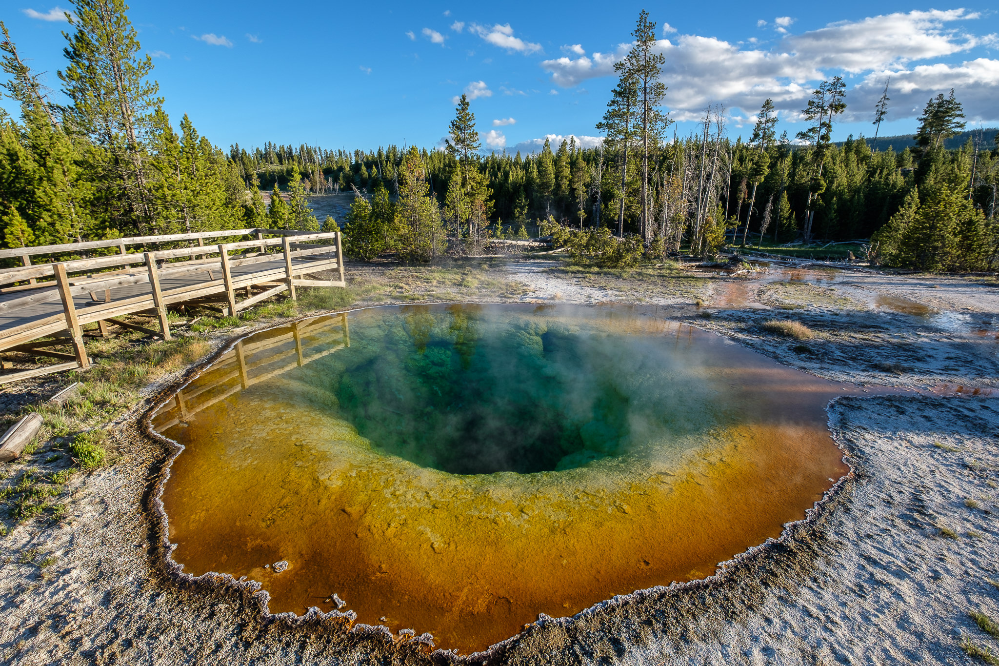 A Sad Tale of Photographing in Yellowstone