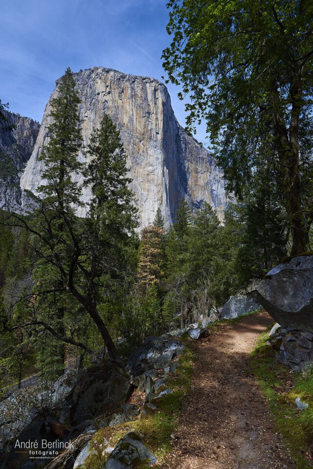 Yosemite - El Capitan #1