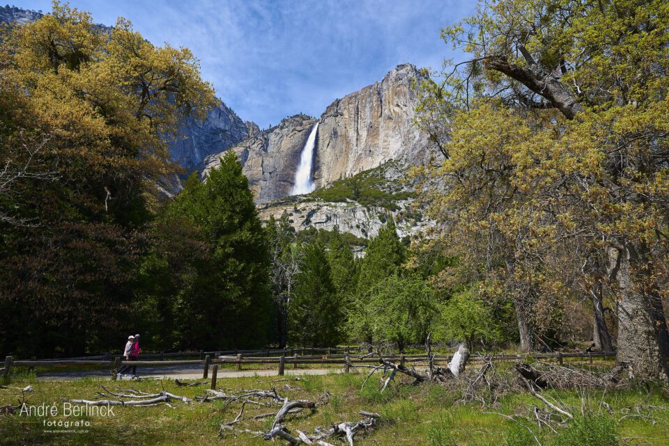 Yosemite Falls #2