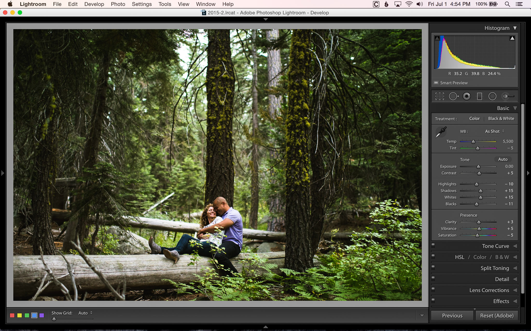 Adding Color With Filters and Brushes In Lightroom-10