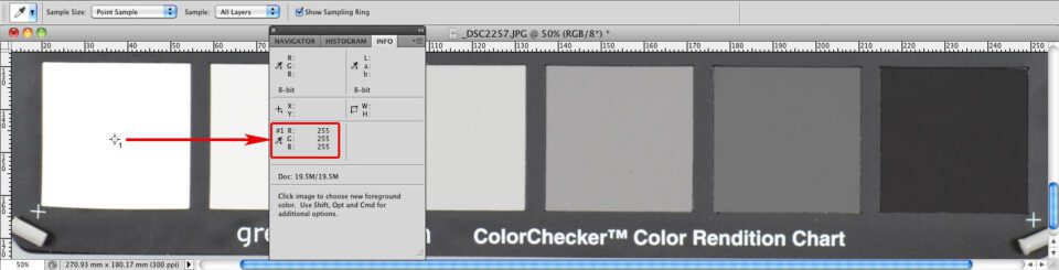 rawdigger dynamic range