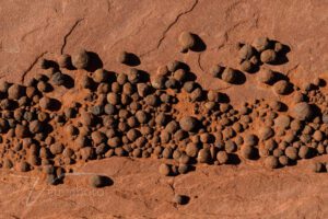 Verm-moki-marbles-4730