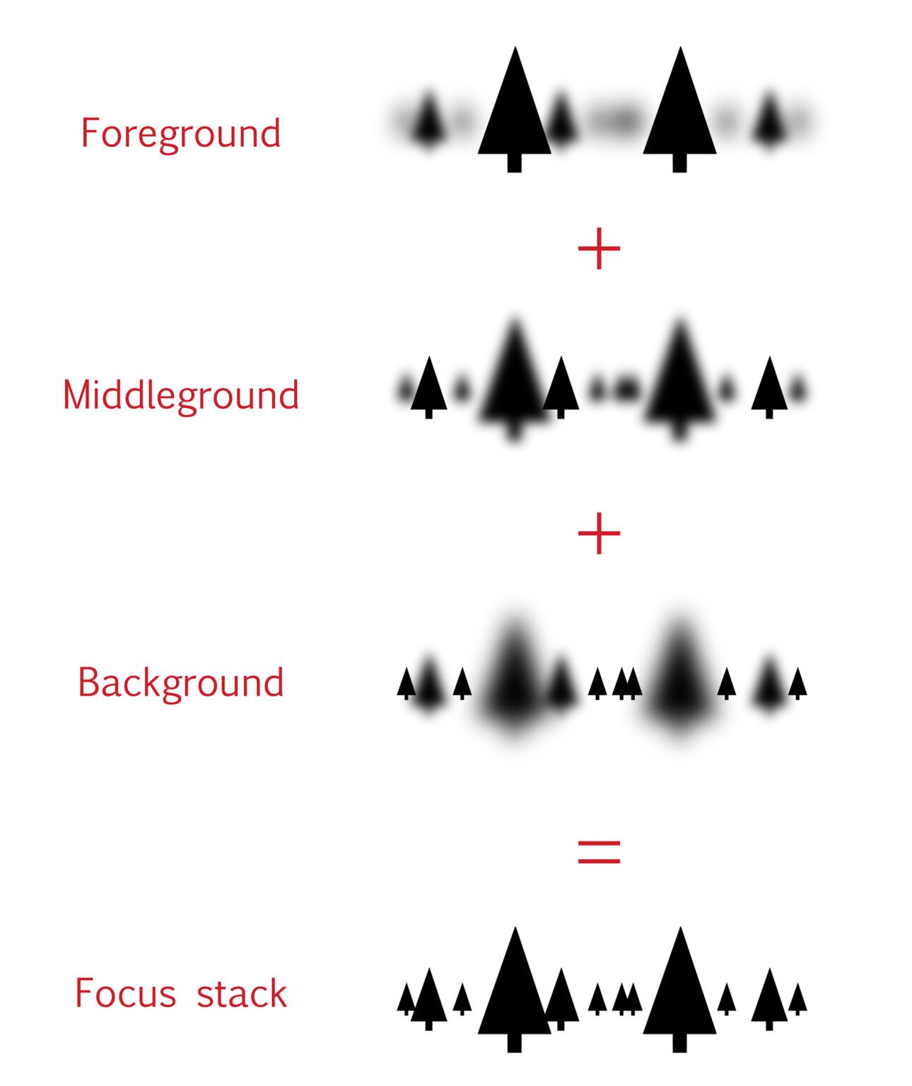 Focus Stacking Tutorial for Landscape Photography