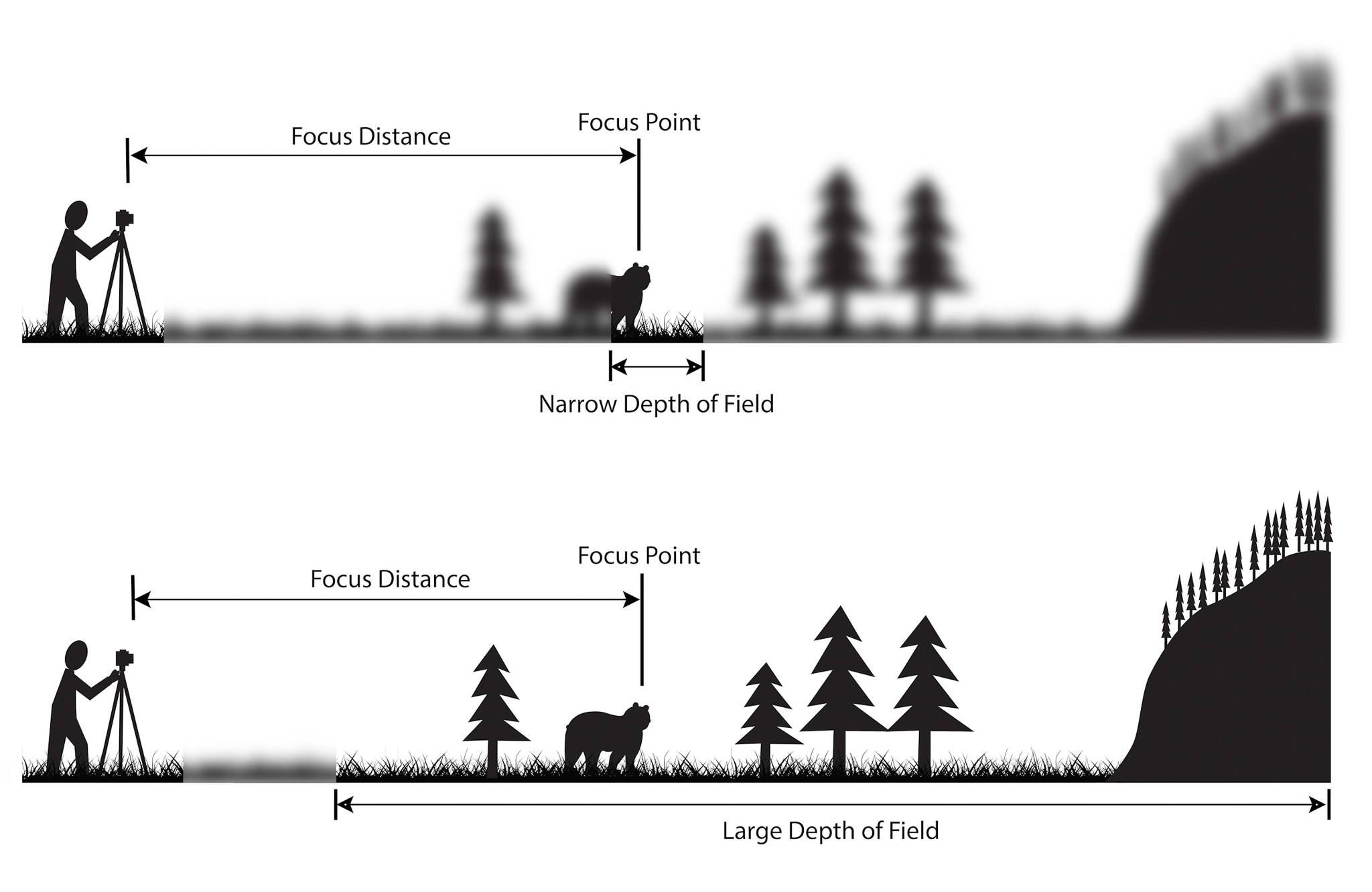 depth of field photography black and white