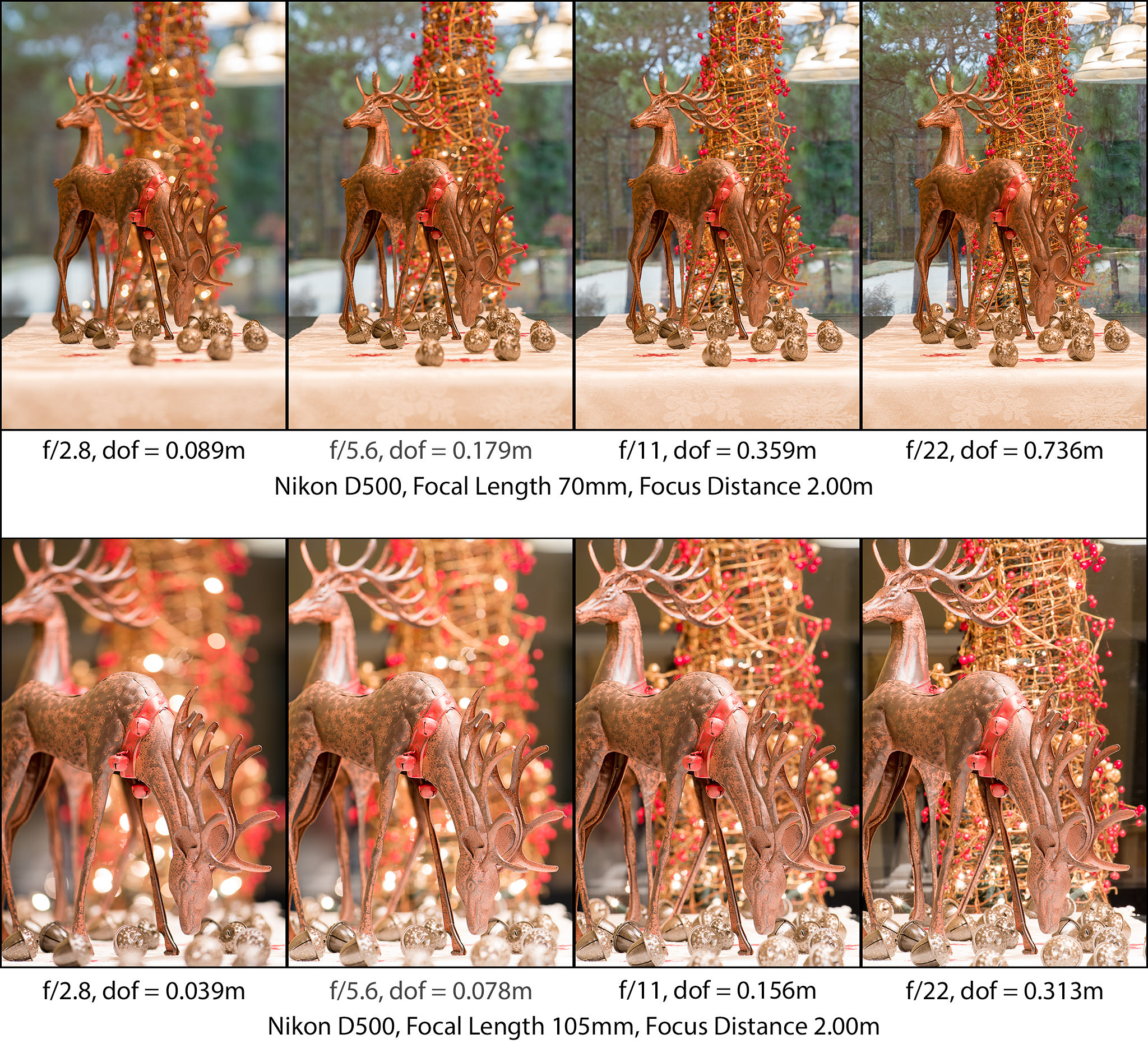 understanding-depth-of-field-a-beginner-s-guide