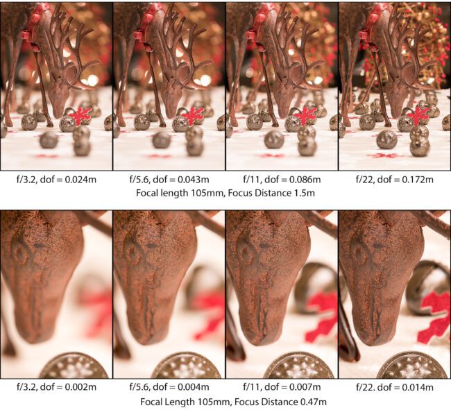 Understanding Depth of Field - A Beginner's Guide