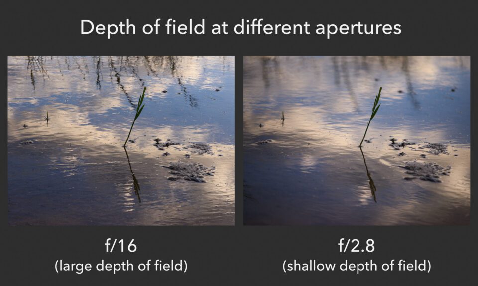 Depth of field at different apertures